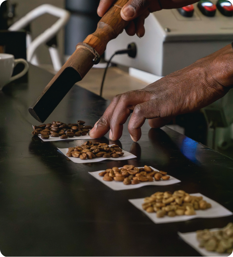 BARISTA TRAINING