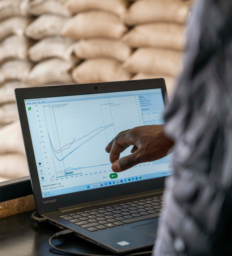 roastery-process
